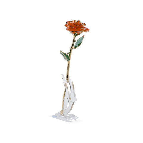 Timeless Rose (Orange)