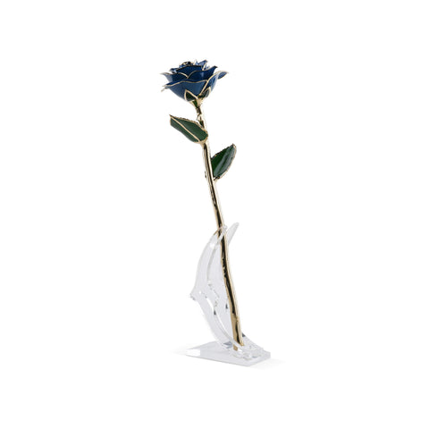 Timeless Rose (Blue)