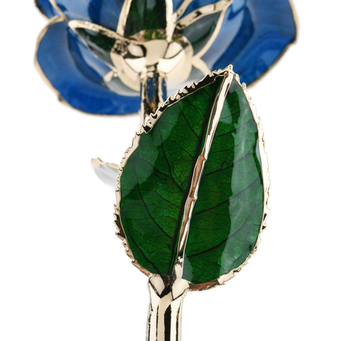 Forever Rose (Blue)
