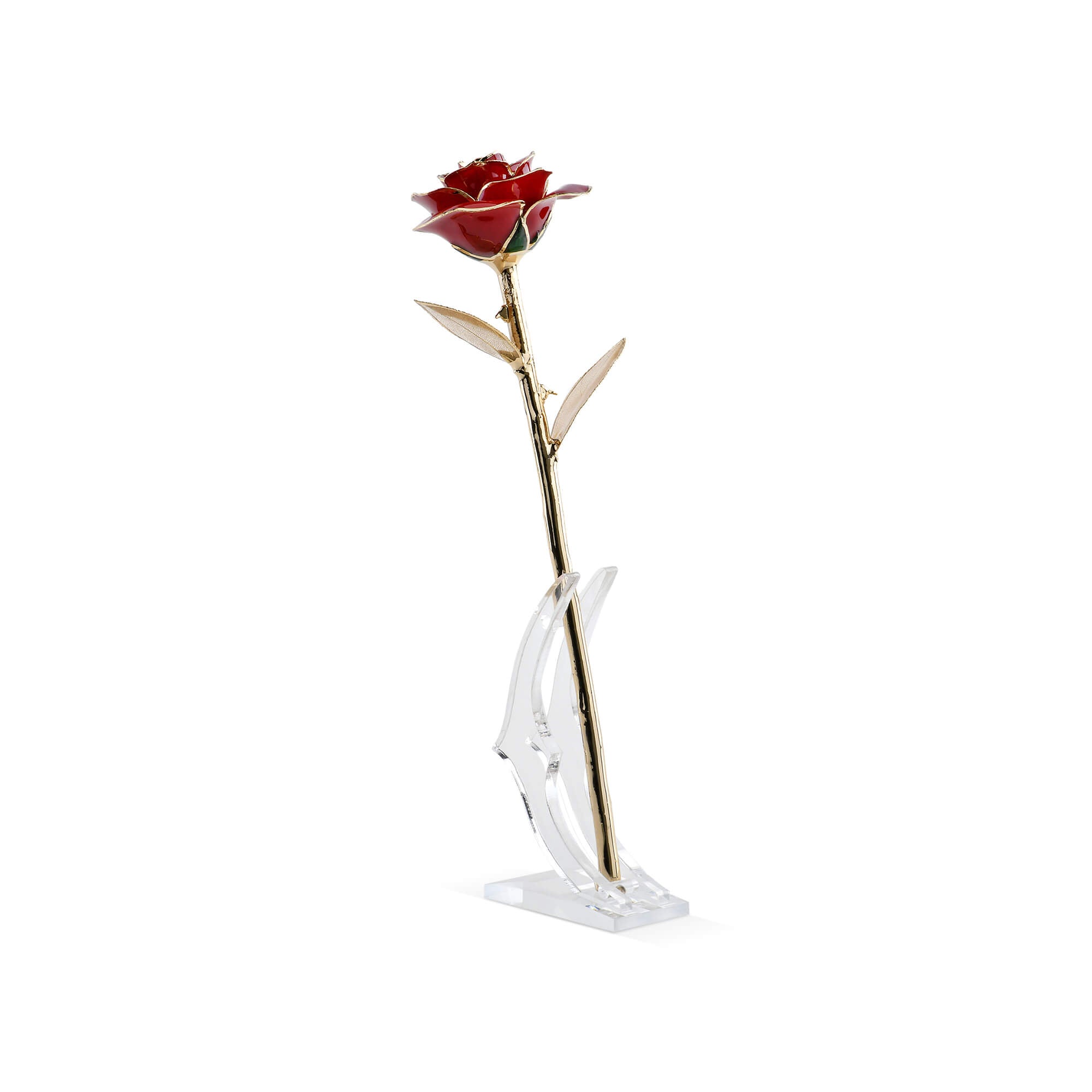 Timeless Rose (Dark Red)