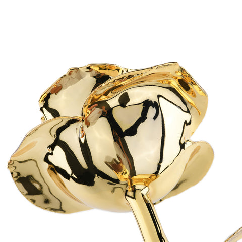Forever Rose (Gold)