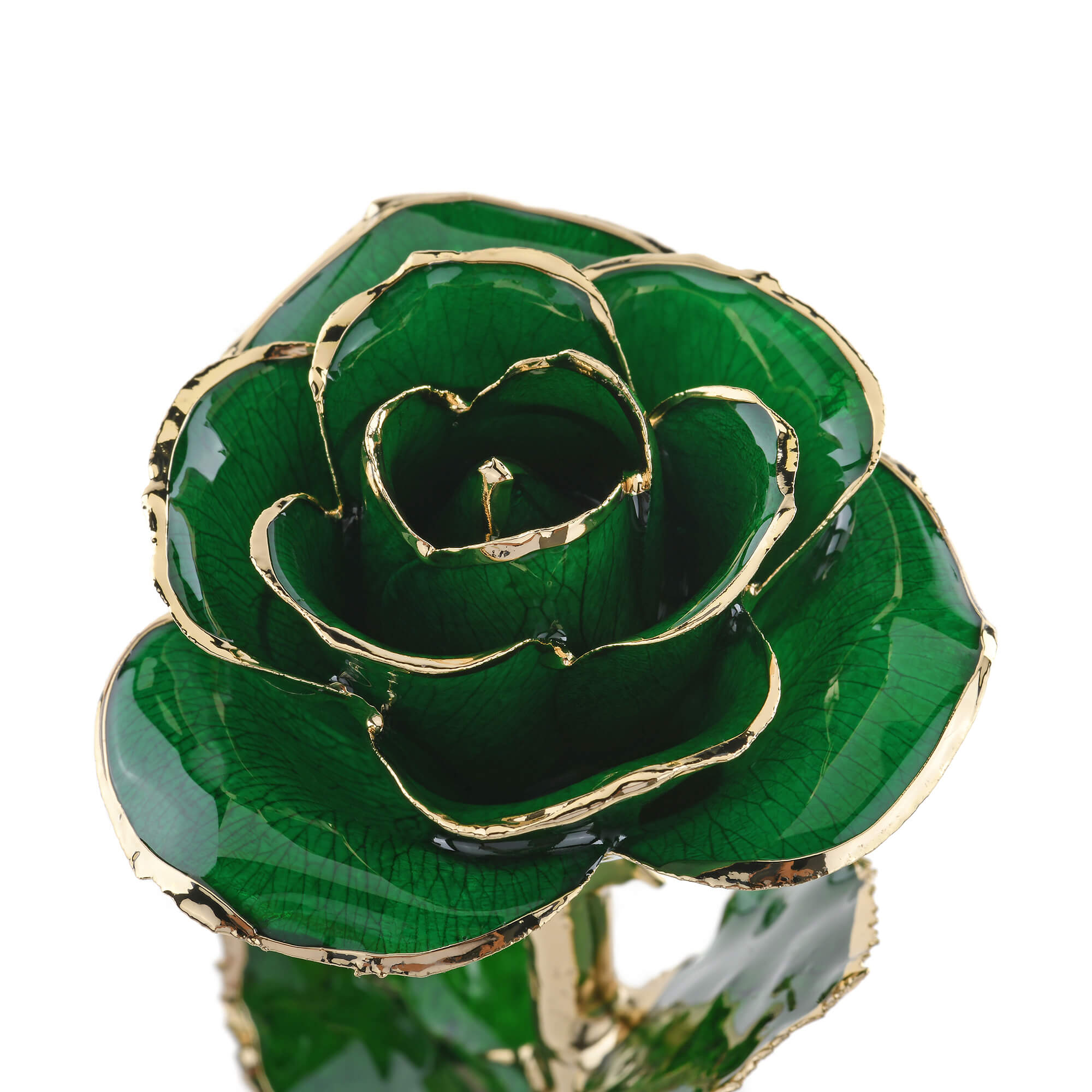 Timeless Rose (Green)