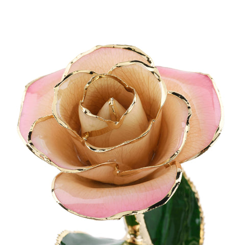 Timeless Rose (Light Pink)