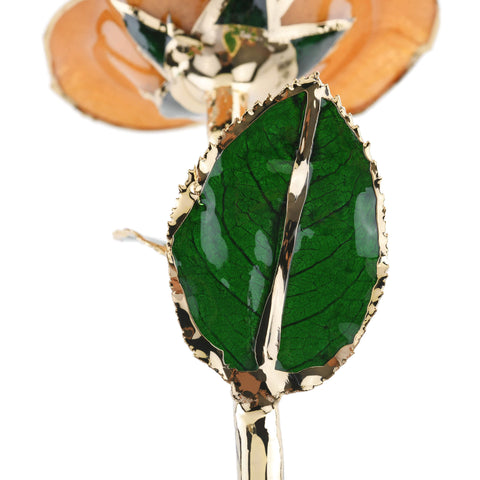 Forever Rose (Pear)