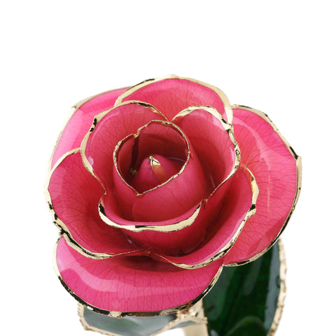Timeless Rose (Pink)
