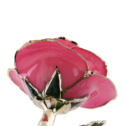 Forever Rose (Pink)