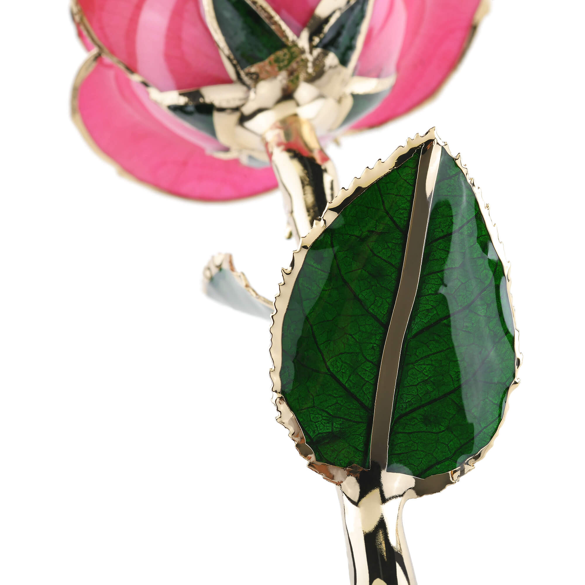 Forever Rose (Pink)