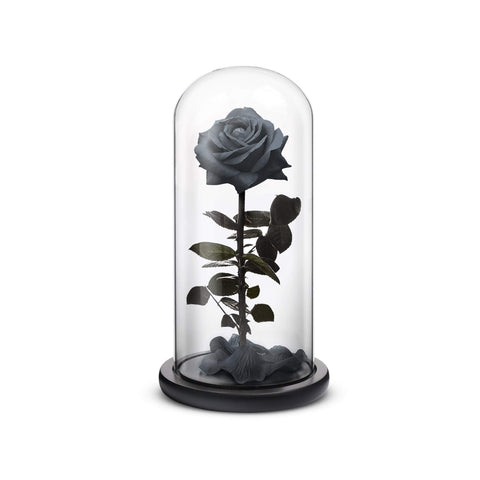 Black everlasting preserved rose inside a crystal dome and wooden base