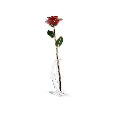 Timeless Rose (Red)