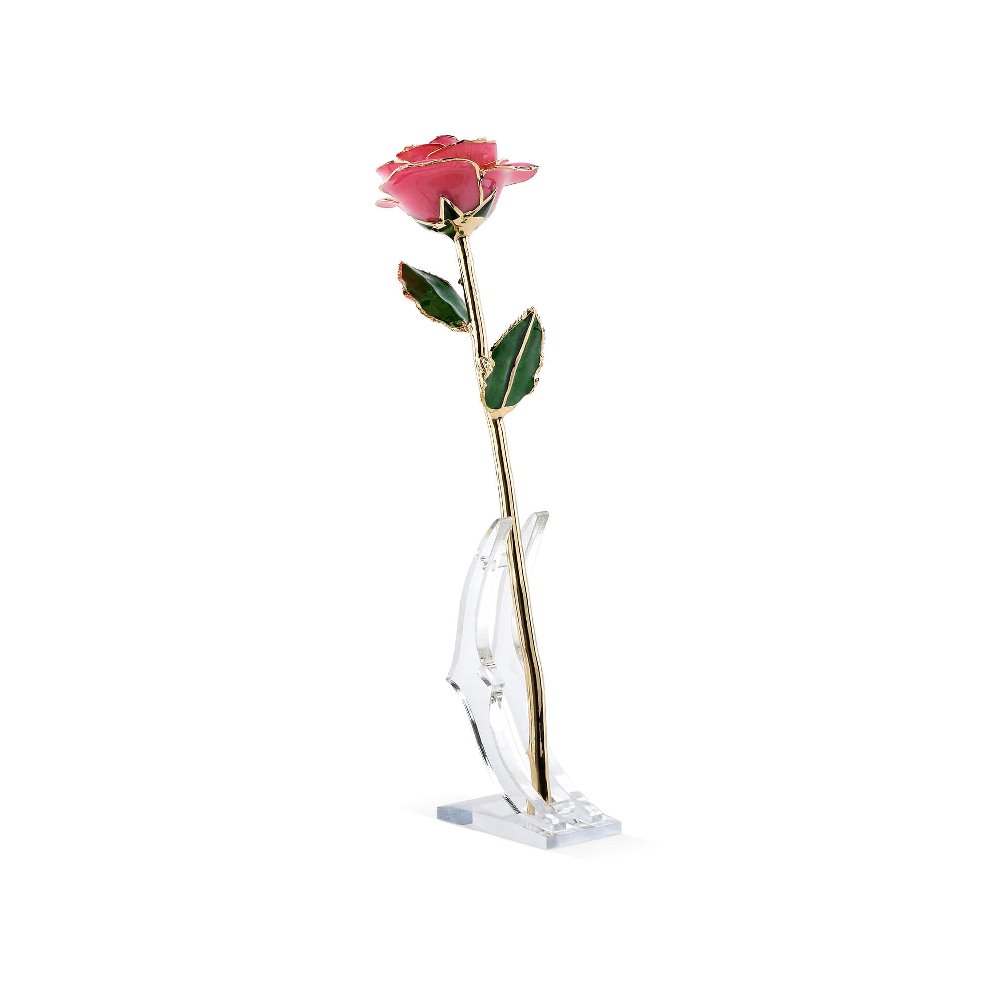 Timeless Rose (Rich Pink)