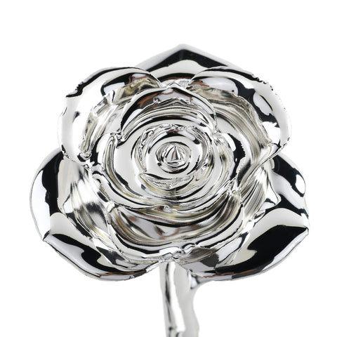 Timeless Rose (Silver)