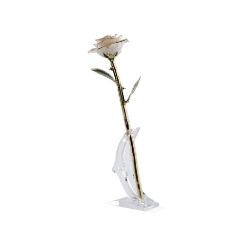 Forever Rose (White)