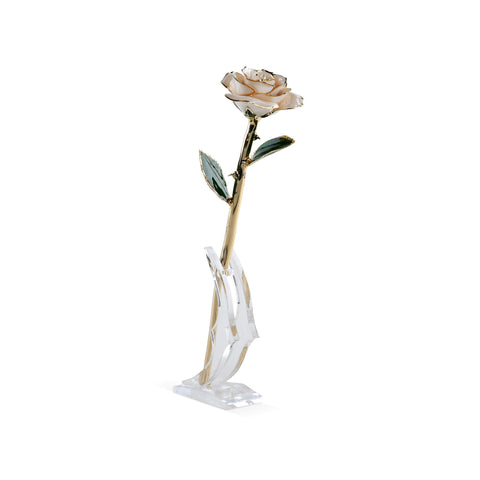Timeless Rose (White)