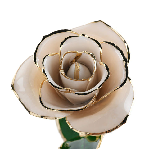 Forever Rose (White)