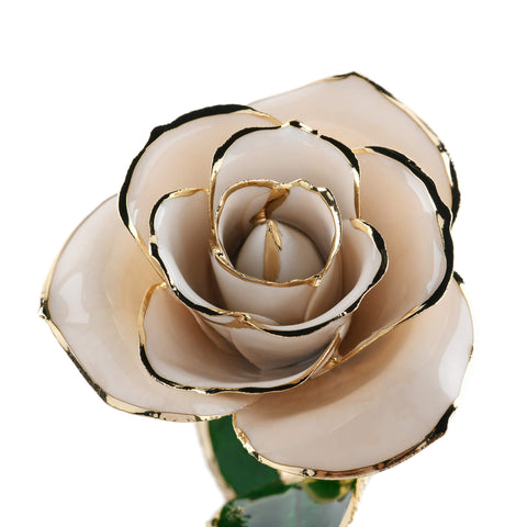 Timeless Rose (White)