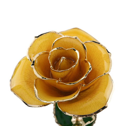 Timeless Rose (Yellow)