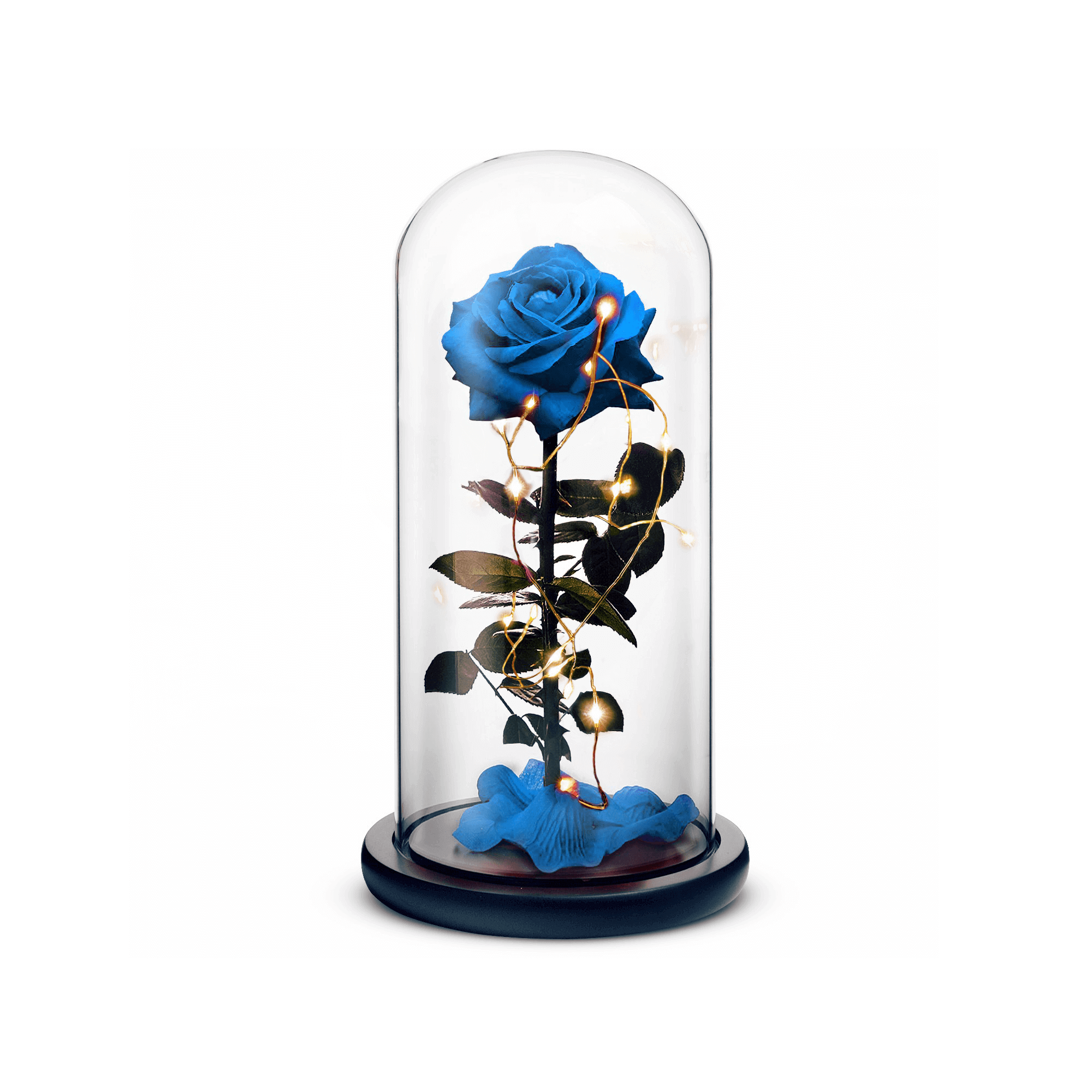 Blue beauty and the beast preserved rose inside a crystal dome with lights