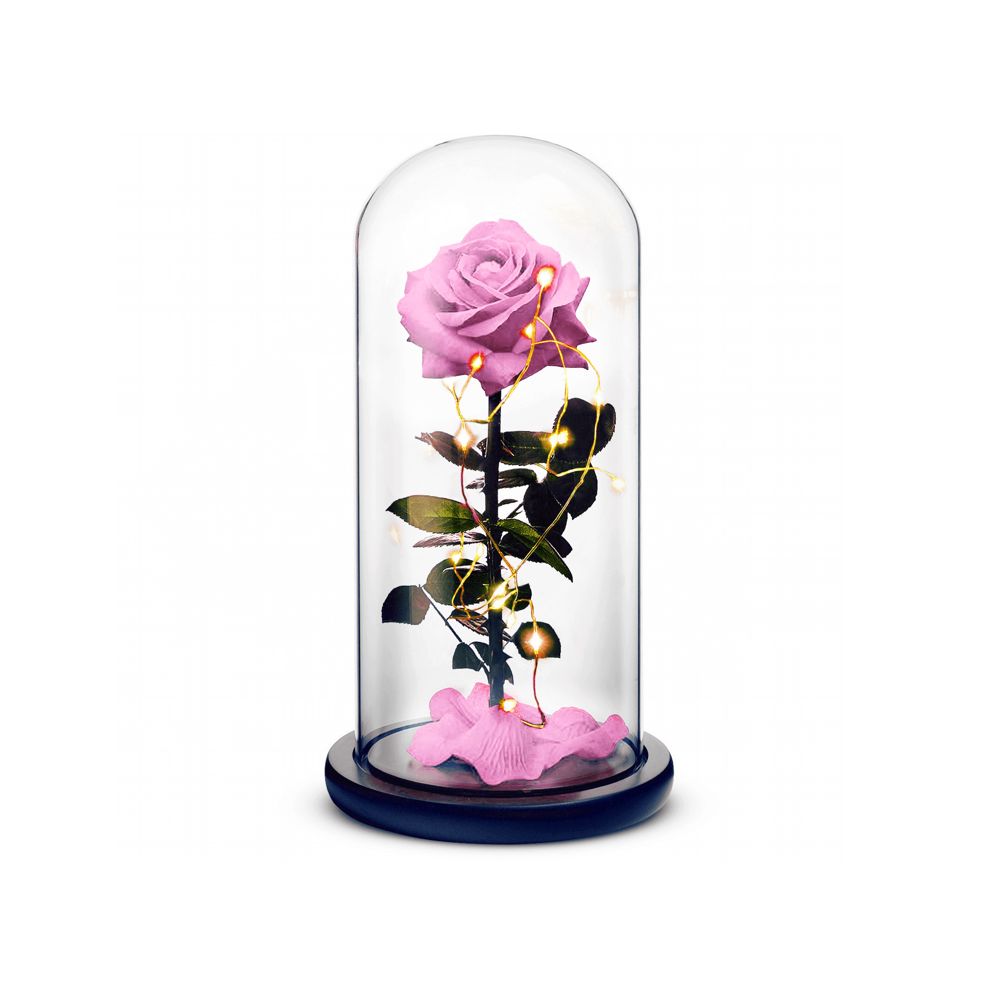 Pink beauty and the beast preserved rose inside a crystal dome with lights