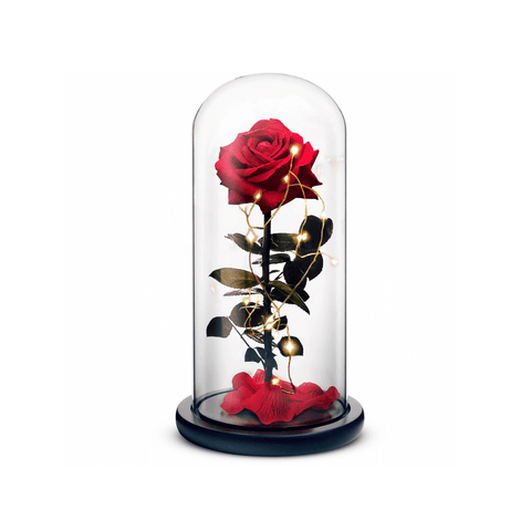 Red beauty and the beast preserved rose inside a crystal dome with lights