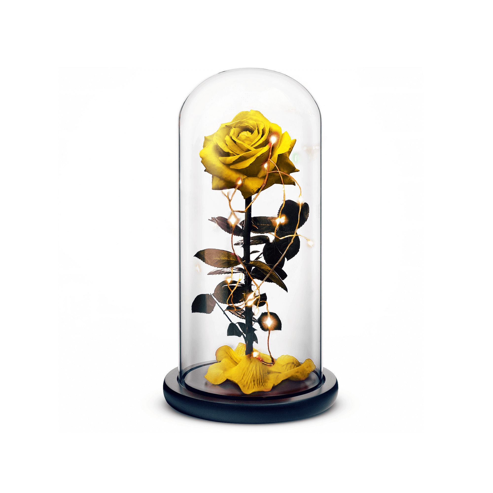 Yellow beauty and the beast preserved rose inside a crystal dome with lights
